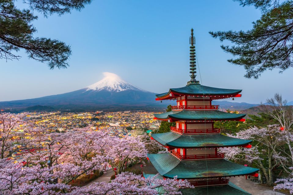 From Tokyo: Mt. Fuji or Hakone Private Sightseeing Day Trip - Directions