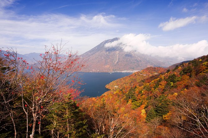 Full Day Enjoy Nature Nikko To-And-From Tochigi Pre. up to 12 - Air-Conditioned Comfort