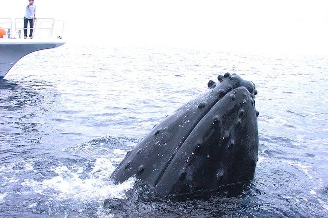 Full Day Guided Boat 2diving in Kerama Islands（License Required） - Start Time