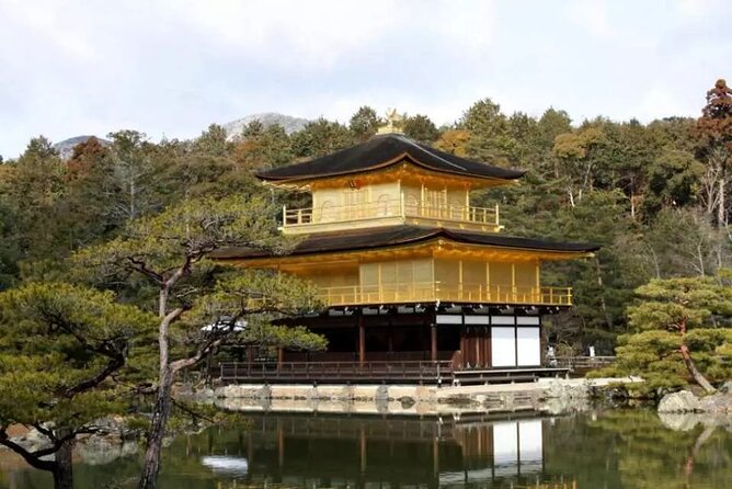 Full Day Kyoto and Nara Guided Tour - Transportation