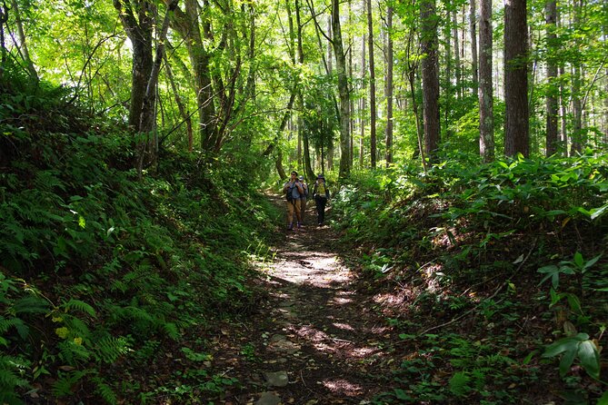 Full Day North Nagano Hiking Experience - Operator and Pricing