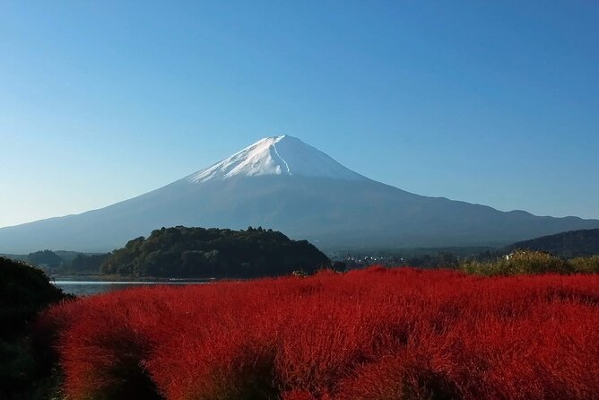 Full Day Tour in Mount Fuji and Oishi Park With Fruit Picking - Recap