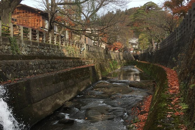 Full Day Tour of Takayama - Accessibility Details