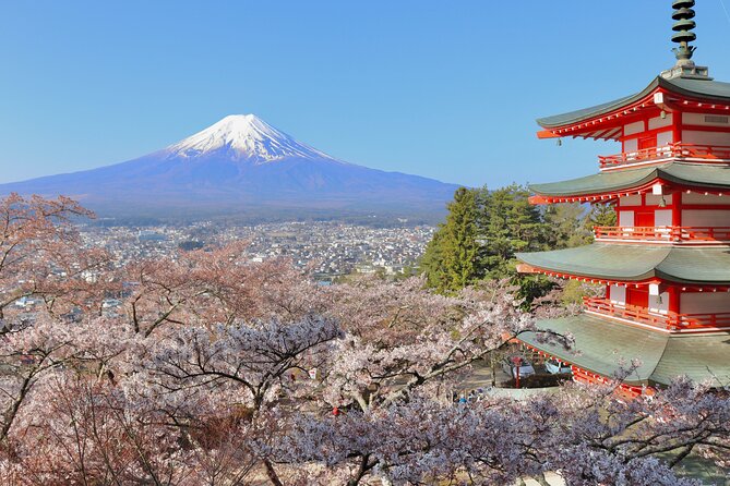 Full Day Tour to Mount Fuji - Customer Feedback