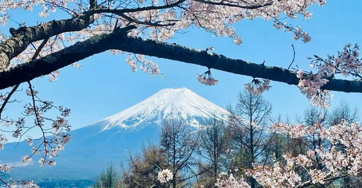 Full Guided One Day Trip for Mount Fuji Japan - The Sum Up