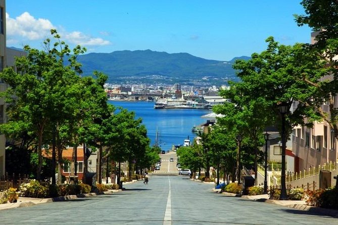 Hakodate Half-Day Private Tour With Government-Licensed Guide - Frequently Asked Questions