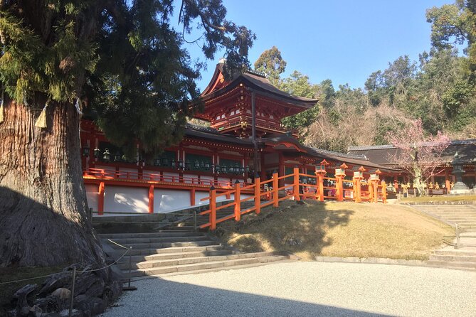 Half-Day Private Guided Tour to Nara City - Additional Tour Information