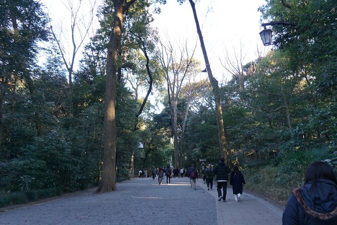 Harajuku From Meiji Shrine to Shibuya Crossing 2 Hours - Recap