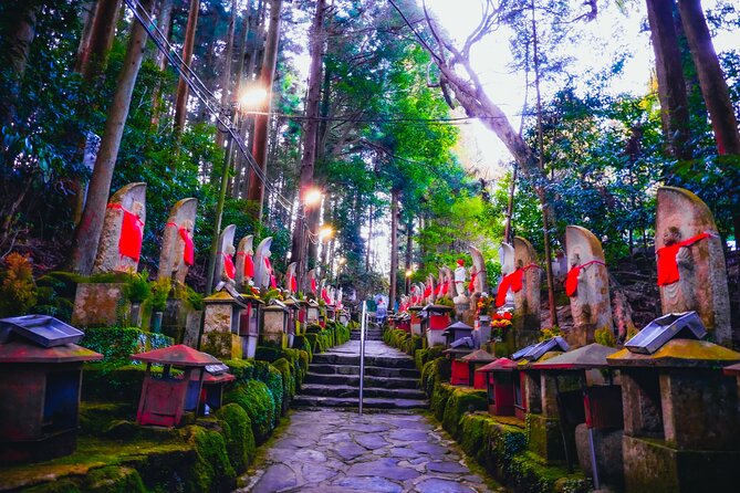 Hidden Gems of Osaka Kyoto Nara - Private Car Tour by Local Guide - Seamless Booking Process