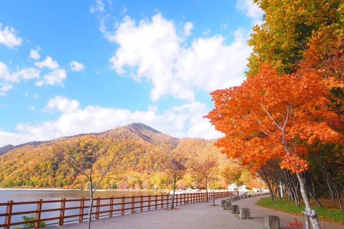 Hokkaido Day Tour From Sapporo: With Bear Park Option - Recap