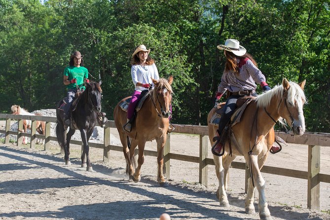 Horseback-Riding in a Country Side in Sapporo - Private Transfer Is Included - Private Transfer Inclusions