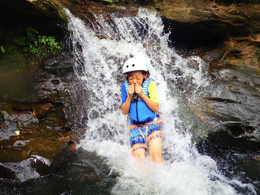 Iriomote Island: Guided 2-Hour Canyoning Tour - Frequently Asked Questions