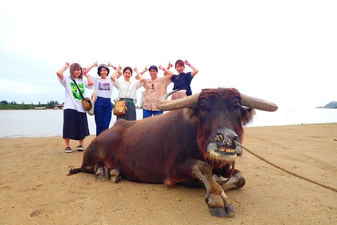 [Iriomote]Sup/Canoe Tour + Sightseeing in Yubujima Island - Booking Details and Confirmation