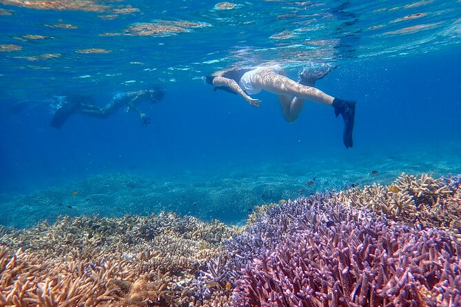 [Ishigaki] Snorkeling Tour at Phantom Island - Additional Info