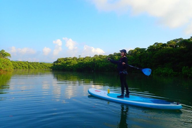 [Ishigaki]Mangrove SUP/Canoe Tour - Safety Guidelines