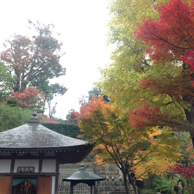 Kamakura: Great Buddha, Hase Temple, & Komachi Street Tour - Frequently Asked Questions