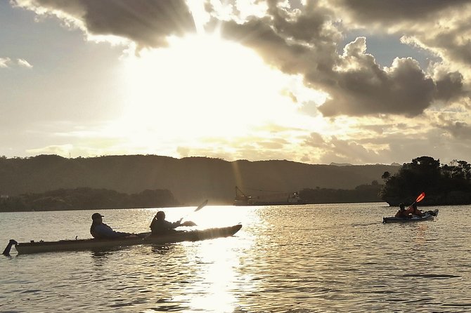 Kayak Mangroves or Coral Reef: Private Tour in North Okinawa - Frequently Asked Questions