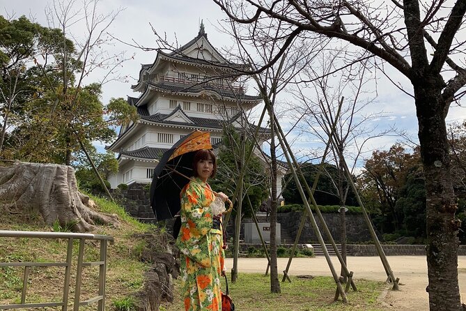 Kimono Dressing & Tea Ceremony Experience at a Beautiful Castle - Hosts Response