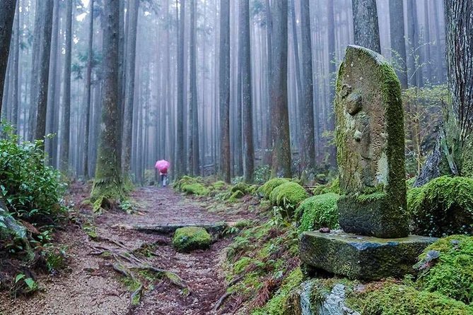 Kumano Kodo Pilgrimage Full-Day Private Trip With Government Licensed Guide - Frequently Asked Questions