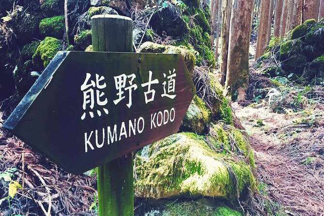 Kumano Kodo Pilgrimage Tour With Licensed Guide & Vehicle - Reviews Overview