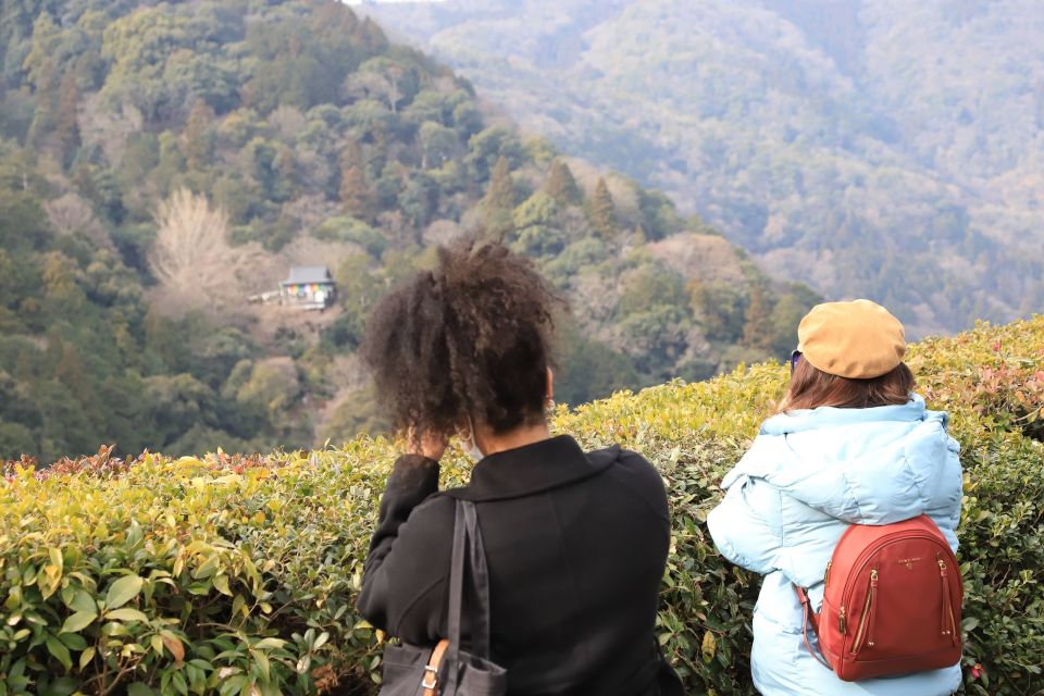 Kyoto Arashiyama Best Spots 4h Private Tour - Background