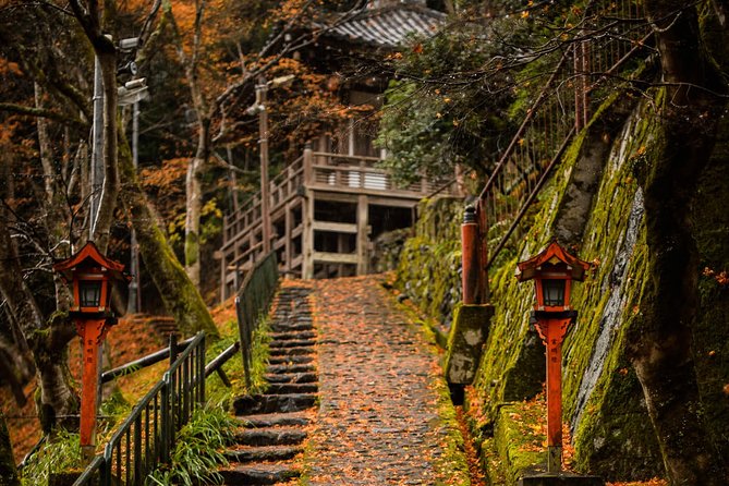 Kyoto Bamboo Forest Electric Bike Tour - Frequently Asked Questions