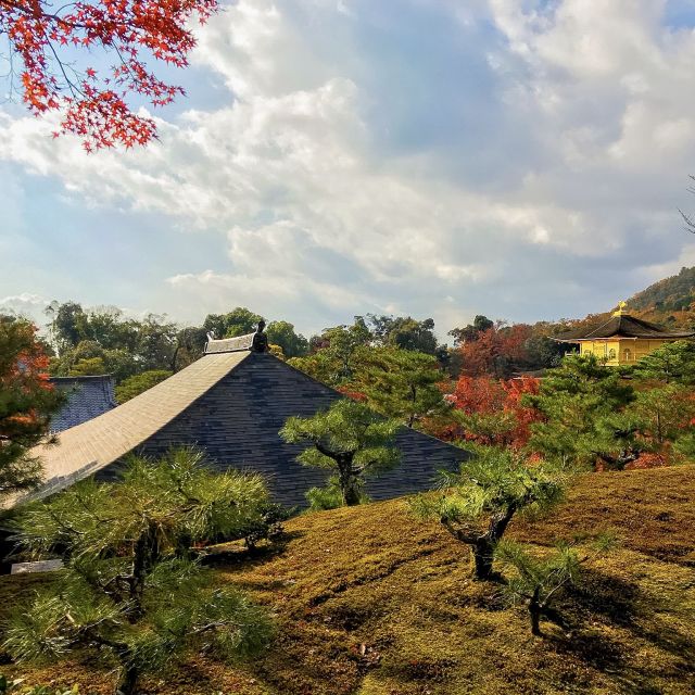 Kyoto: City Secrets Ebike Tour - Cancellation Policy