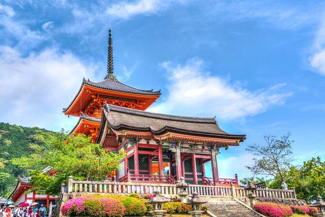 Kyoto Full Day (8 Hours) Sightseeing Privatetour - Pricing Details and Payment Options