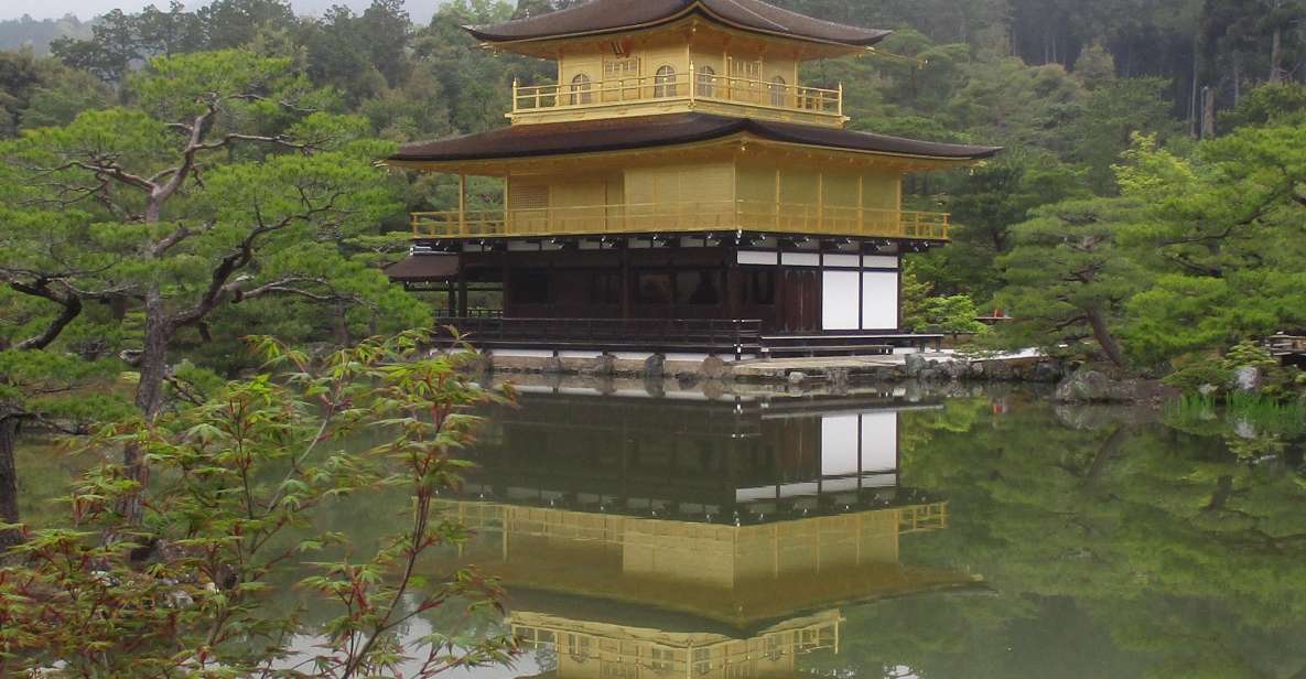 Kyoto: Pagoda, Bamboo, Kiyomizu, Geisha (Italian) - Customer Ratings and Reviews