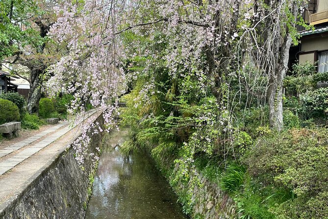 Kyoto Silver Pavilion Private 4-Hour Guided Tour - Guide Fees and Entrance Fees