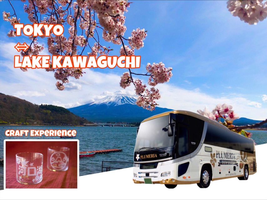 Lake Kawaguchi From Tokyo Express Bus Oneway/Roundway - Frequently Asked Questions