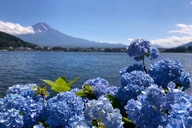 Lake Kawaguchiko Bike Tour - Additional Info