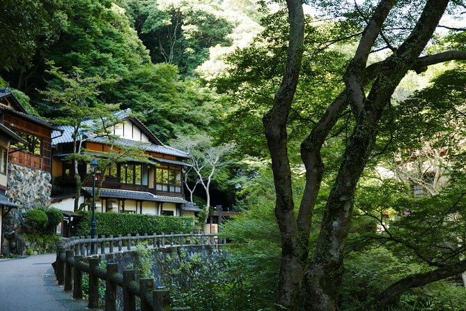 Minoh Waterfall and Nature Walk Through the Minoh Park - Weather Considerations and Cancellation Policy