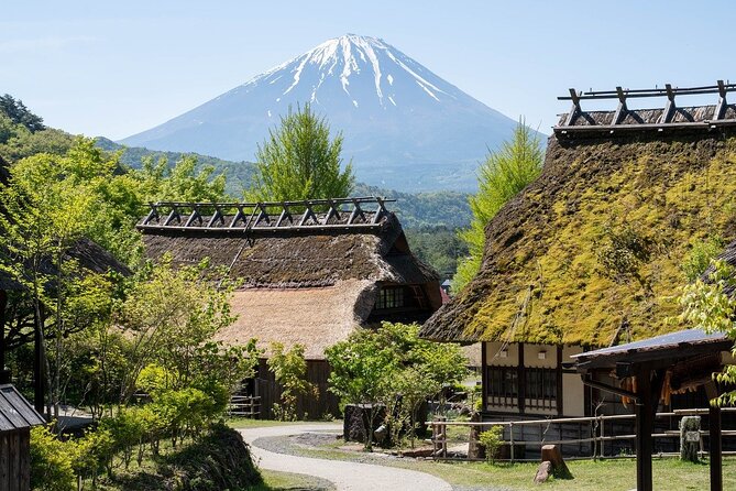 Mount Fuji/Hakone/Tokyo Private Charter Car Tour 10 Hours - Review and Rating