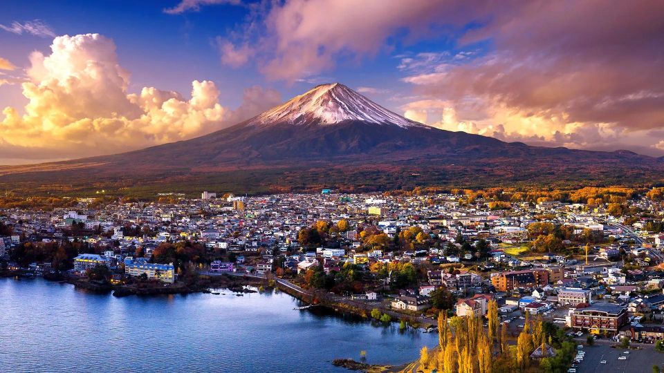 Mount Fuji Panoramic View & Shopping Day Tour - Important Information