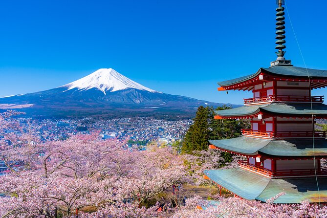 Mt. Fuji Cherry Blossom One Day Tour From Tokyo - Frequently Asked Questions