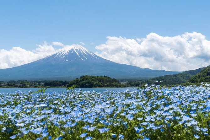 Mt. Fuji Day Trip Bus Tour From Tokyo - Recap