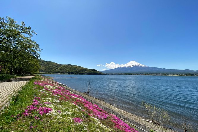 Mt Fuji Full-Day Tour By Car - Directions