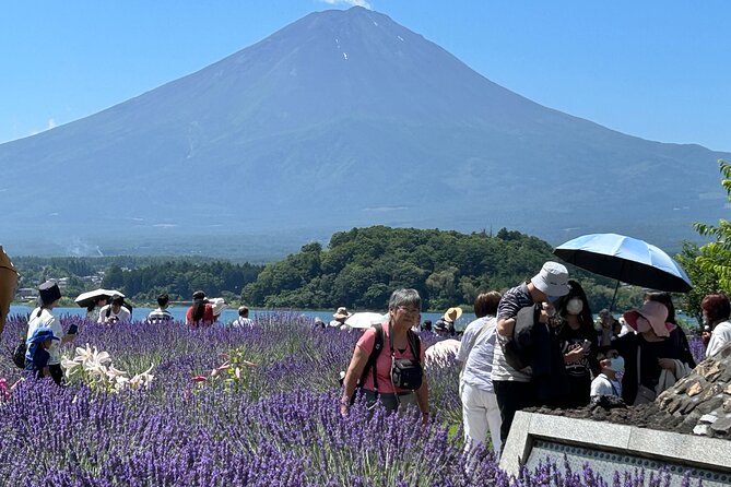 Mt.Fuji & Hakone Tour, From/To Tokyo, Yokohama, Odawara, up to 12 - Directions and Logistics