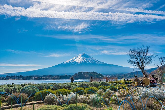 Mt. Fuji Highlight Photo Spots One Day Tour - Frequently Asked Questions