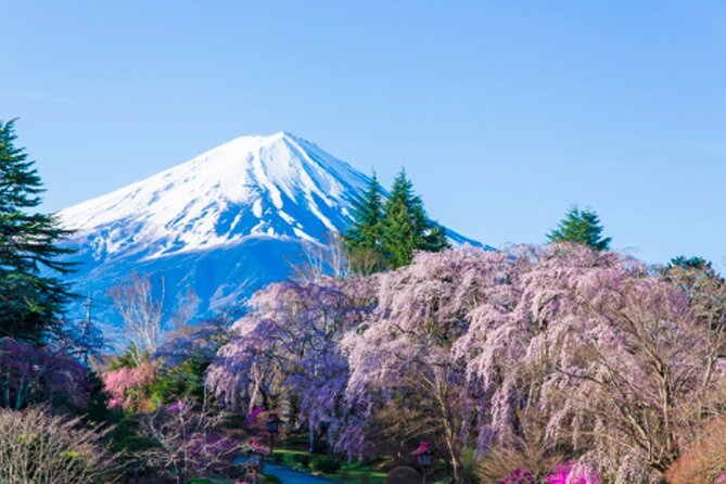 Mt. Fuji's Fifth Station & Lake Kawaguchiko Cycling Tour - Transportation Details