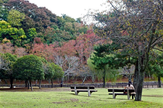 Nara Custom Half Day Tour - Tour Directions