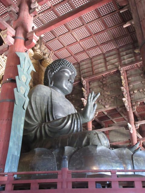 Nara: Giant Buddha, Free Deer in the Park (Italian Guide) - Cancellation Policy