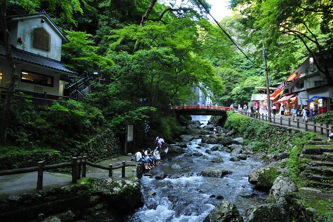 Nature Walk at Minoo Park, the Best Nature and Waterfall in Osaka - Accessibility and Restrictions