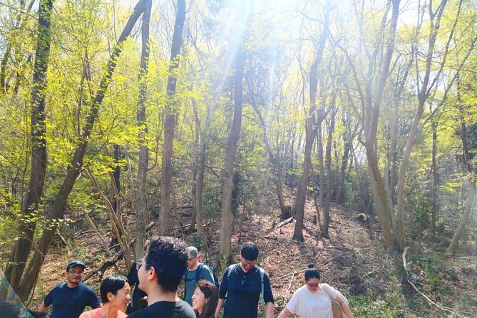 Near Tokyo: Organic Farming Experience With Forest Hiking - Recap