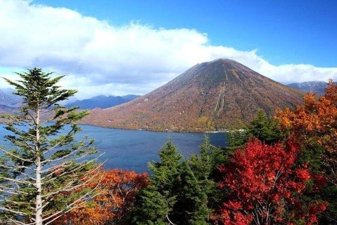 Nikko Full-Day Private Tour With Government-Licensed Guide - Recap