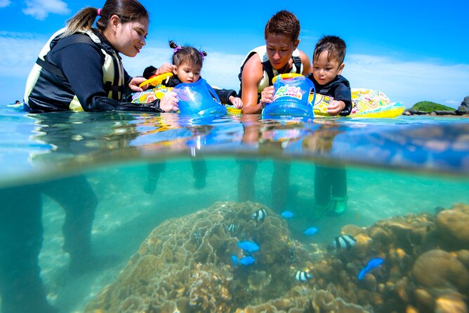 OK From 2 Years Old! / Sea Picnic & Snorkel - Inclusions