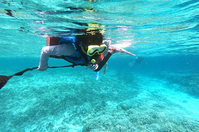 [Okinawa Iriomote] Snorkeling Tour at Coral Island - Recap