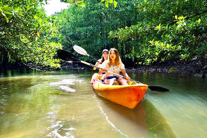 [Okinawa Iriomote] Sup/Canoe Tour in a World Heritage - Price and Reviews