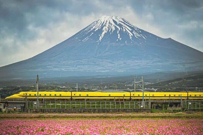 One Day Mountain Fuji & Hakone Tour With English Hindi Bilingual - Frequently Asked Questions